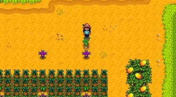 لعشاق Stardew Valley.. 3 ألعاب محاكاة تقدم تجربة ريفية فريدة وقصصاً ملهمة